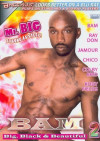 BAM: Big, Black & Beautiful 2 BAM: Big, Black & Beautiful 2